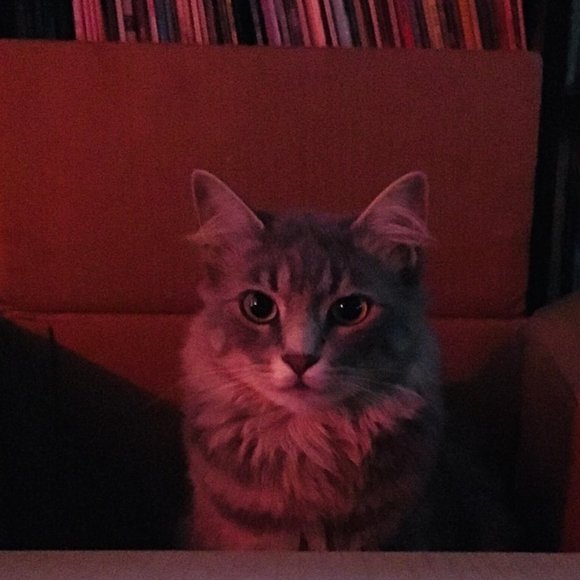 Meet your Posher, IV - Picture 2 of 3